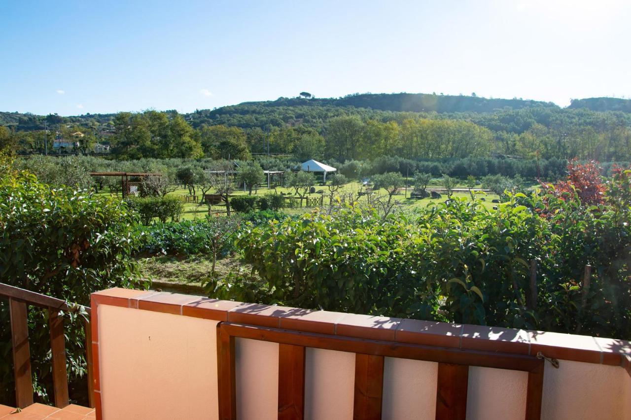 Iscairia Country House 아셰아 외부 사진